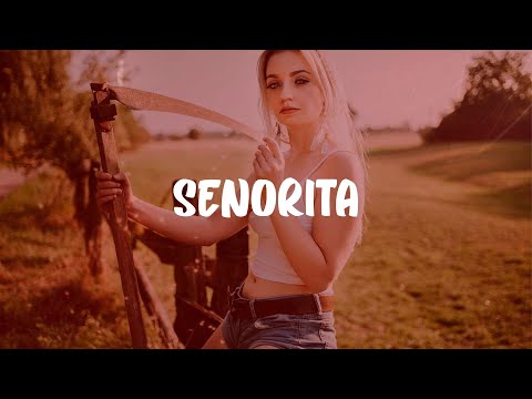 Shawn Mendes Señorita Katy Perry Taylor Swift Mix 