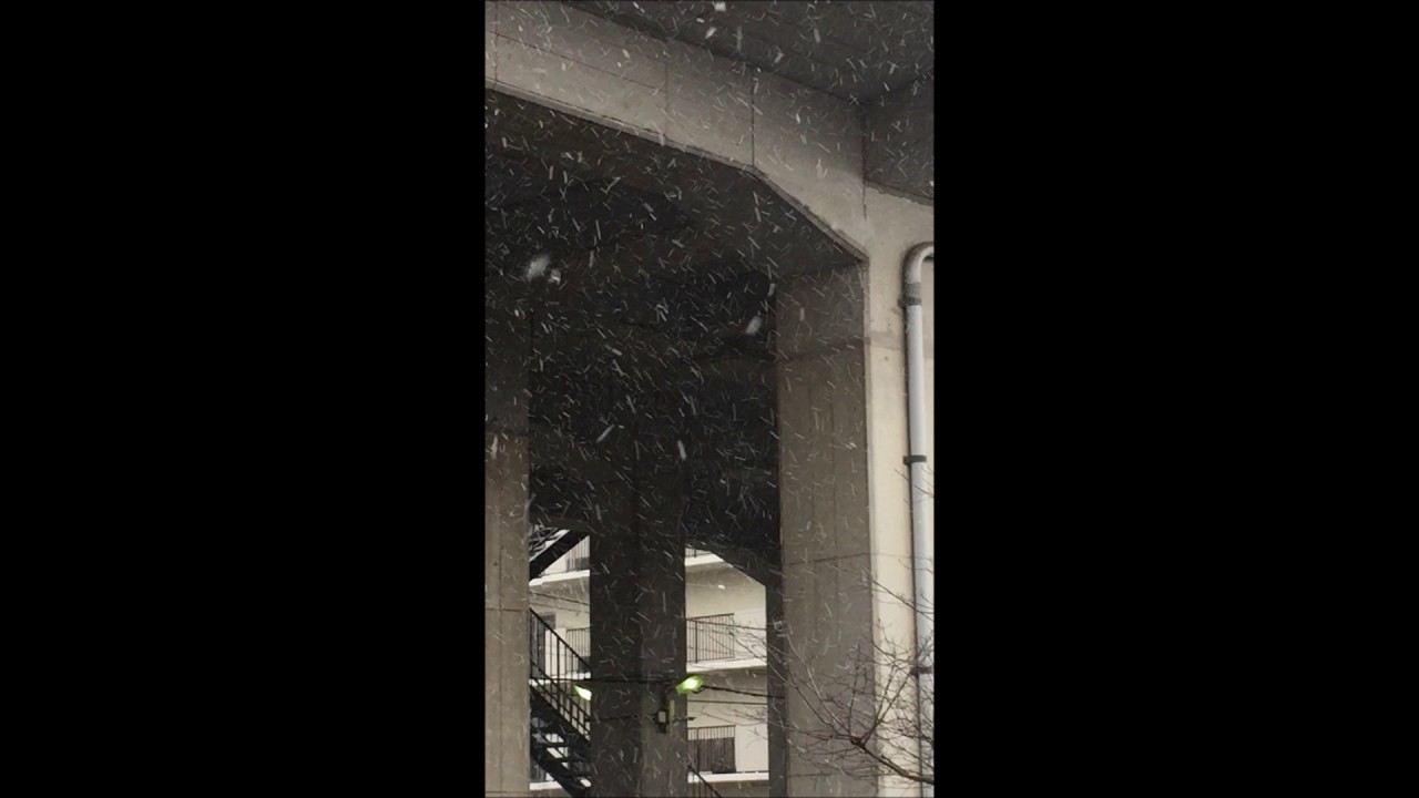 今日越谷に突然の雪