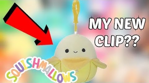 CVS SQUISHMALLOW HUNTING & DISO SQUISH MAIL !!!