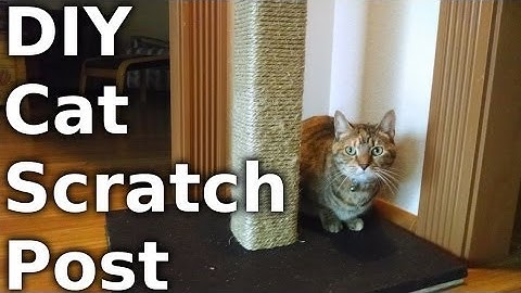 Fast Hacks #23 - Build a Cat Scratching Post