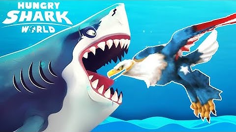 Shark.io