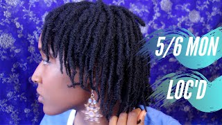 5 &amp; 6 Months Loc&#39;d - Nique&#39;s Oasis (Growth, fullness)