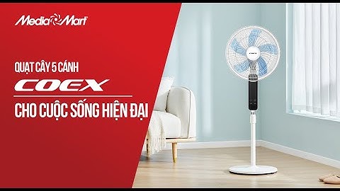 Quạt cây 5 cánh Coex: Cho cuộc sống hiện đại (CF-7120A) - Điện máy MediaMart