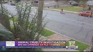 D.A. reviewing whether to file charges against woman seen on video dragging dag