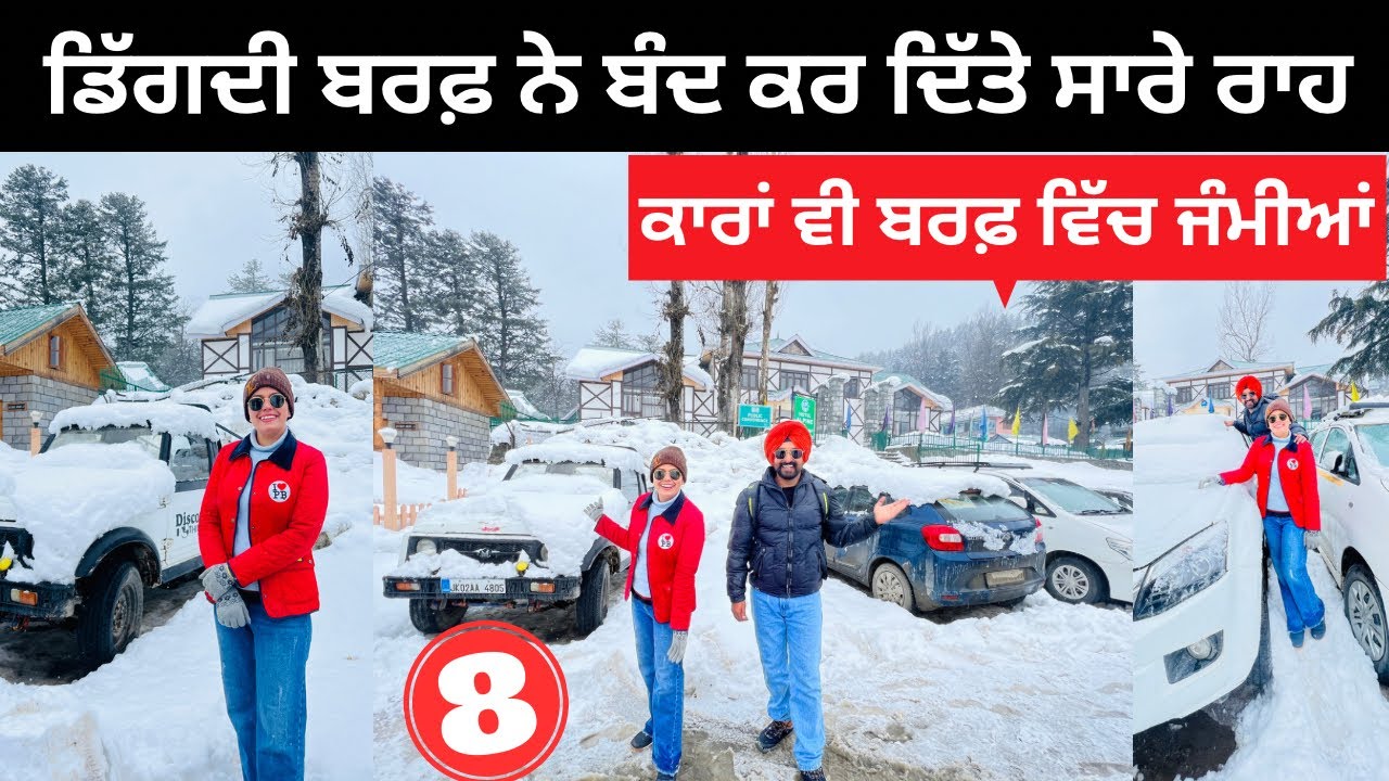 ਬਰਫ਼ ਨੇ ਬੰਦ ਕੀਤੇ ਸਾਡੇ ਰਾਹ Aharbal Waterfall Kashmir Winter | Punjabi Travel Couple | Ripan Khushi