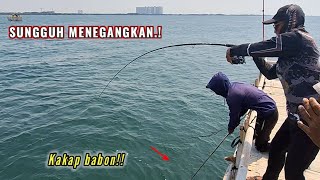 Luar biasa !! di sisi  bagan ini banyak ikan predatornya !!..Mancing bagan pertamina,