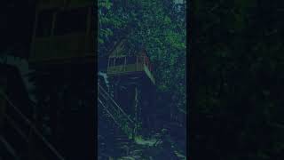 “I Filmed Rain for 15 Seconds… What I Discovered Was Unbelievable" | Rain sounds for sleeping