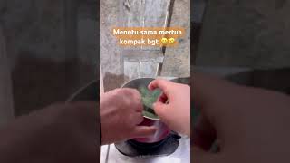 Download Lagu Mantu dan mertua #fypyoutube #sorotan #pengikut MP3