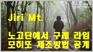 지리산에서 모히또 한잔이면 만사형통.