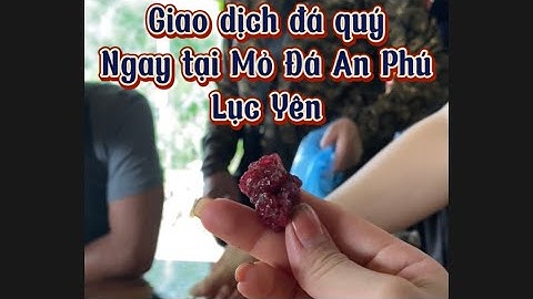 Giao Dịch Đá Quý Ngay Tại Mỏ Đá An Phú - Lục Yên - An Phu Mining Gemstone  | Hồng Ngọc Gems
