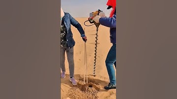 The process of planting trees in the desert