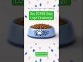 Day 15/100 Days DM for Work #graphicdesigner #growth #viral #views #dailypost #trending #design