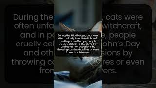 How Cats Became Victims of Superstition in Medieval Europe
