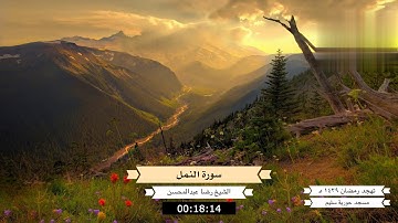سورة النمل   الشيخ رضا عبدالمحسن