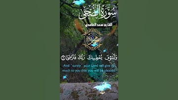 تلاوة خاشعة عطرة مباركة جميلة عذبة للشيخ سعد الغامدي سورة الضحى