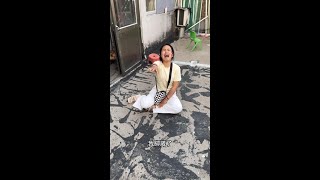 funny  funny Daily Life