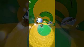 Water Slide at Dream Fun World #waterpark #waterslide #aquapark #DreamFunWorld
