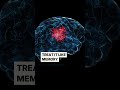 Ai work lost 😳… never again😇 | Ai skill of the day #ai #claude #chatgpt