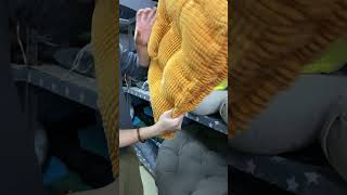 You Can Customize Your Own Cushion And Of Course You Can Place It Anywhere cushion customcushions