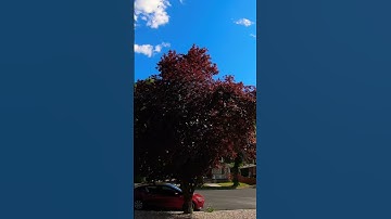 #sunset #chill #lofihiphop #lofi #music #utah #provo #timelapse