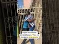 Mseee Wa Nduthiii Akipoteza Kifumguo Ft Jamoko Funny Bestcomedyskit Comedyfilms Comedymove Mseee Wa Nduthiii Akipoteza Kifumguo Ft Jamoko Funny Bestcomedyskit Comedyfilms Comedymove