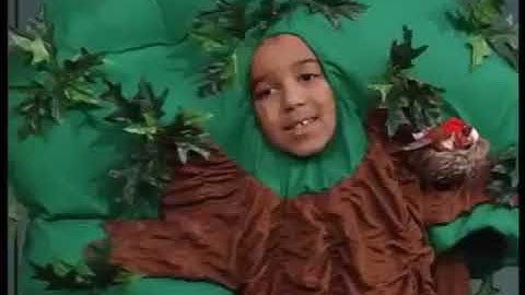 Tree-Mendous Trees (2007 Version) Part 3