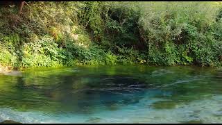 Kolazh Cu Ngrita Me Nate , Cupkat Qe Lozin Valle