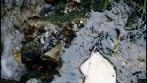 waterphoto waterpicture waterpics watershots waterart