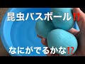 お風呂で学べる学研の図鑑Live Bath ball ✖︎ 3 なにがでるかな？