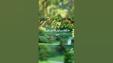 تلاوة خاشعة  الشيخ حمزة الفار