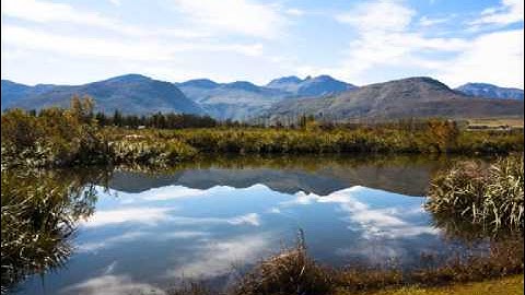 سورة النساء بصوت الشيخ محمد الغرباني p-4