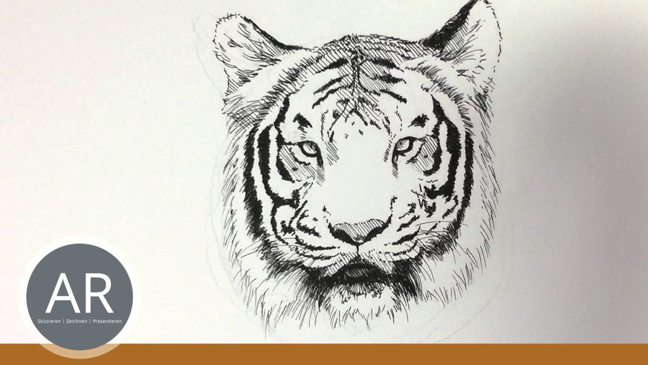 Tier Illustrationen Tiere Zeichnen Lernen Tiger Zeichnen Mappenkurs Kunst