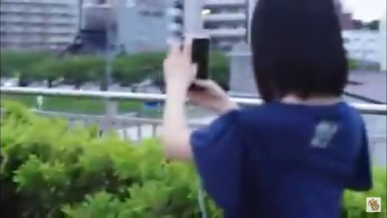 君はTWIMY(QQIQ)を知っているか(覚えているか) - 心理学が好きな犬の備忘録