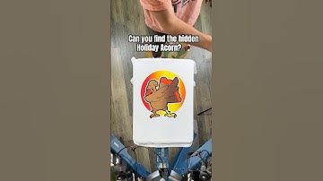 Level Extremely Hard Edition: Can You Find The HIDDEN Holiday Acorn?! 👀🍗