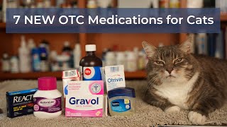 7 NEW OTC Medications for Cats