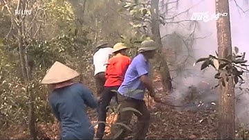 (VTC14)_Nhiều nơi cảnh báo cháy rừng ở cấp độ cực kỳ nguy hiểm