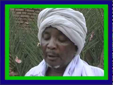 تبكي ام الطيور