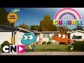 Les rues de la ville le tour delmore  le monde incroyable de gumball  le cartoon network