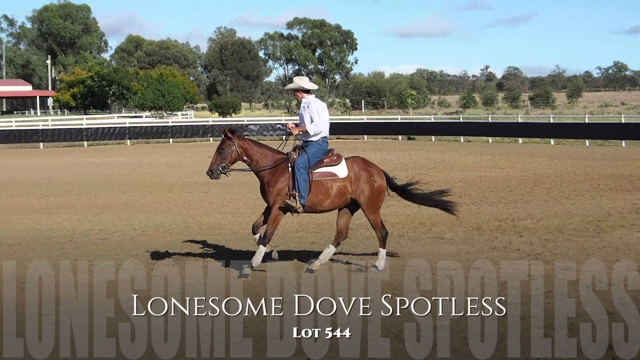 Lonesome Dove Landmark Classic Sale Horses 2016 YouTube