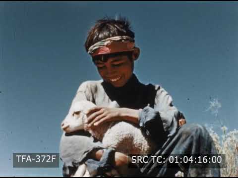 The Navajo Indian (1943) Instructional Video
