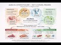 Aging Is a System Failure — Not a Natural Process | Systems Biology Explained (Abstract)