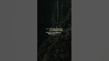 رعد الكردي - سورة الروم