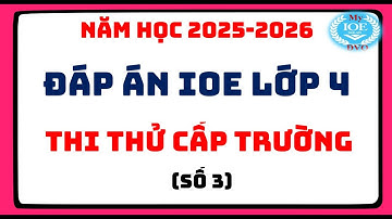 Đáp án IOE lớp 4 - Thi thử cấp trường - (Năm học 2025 - 2026) - Số 3