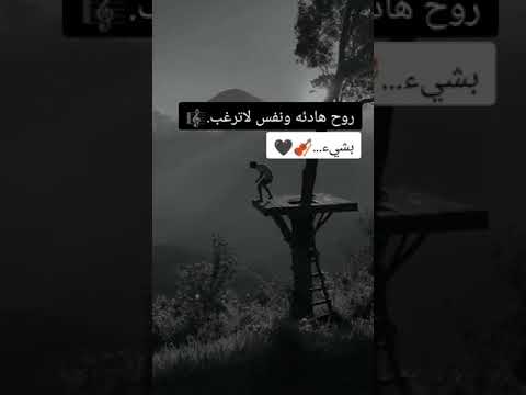 حالات واتساب روح هادئه ونفس لا ترغب بشيء ستوريات انستا Youtube ستوريات Video فيديوهات حال