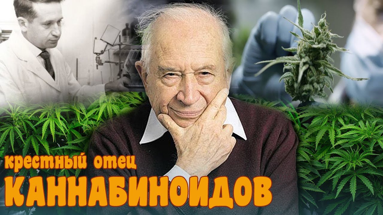 Джек херер авто