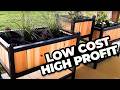 The cheap and easy way to build a raised garden bed