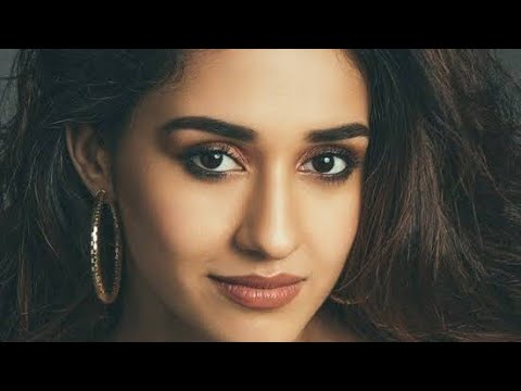 Kaunsa Dog Disha Patani ke Pass | In Hindi | Celebrity Facts | Dogs Facts | Animal Channel Hindi - YouTube