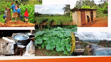 Engineers Without Borders Bambui Project