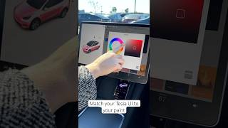 Tesla Car Colorizer