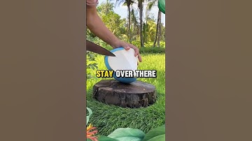 20$ For Wrong Answers Only  #satisfying #comedy  #memes